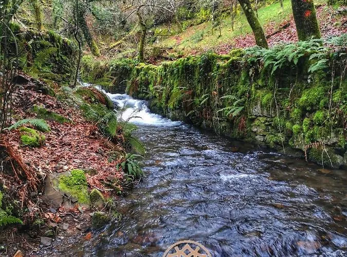 Chr Talasnal_casa Da Pedra 別荘 ロウザン